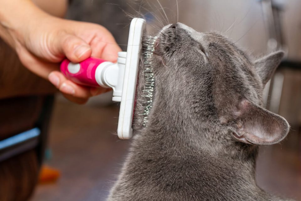 Mobile Cat Grooming Brush, Deshedding, Deshed