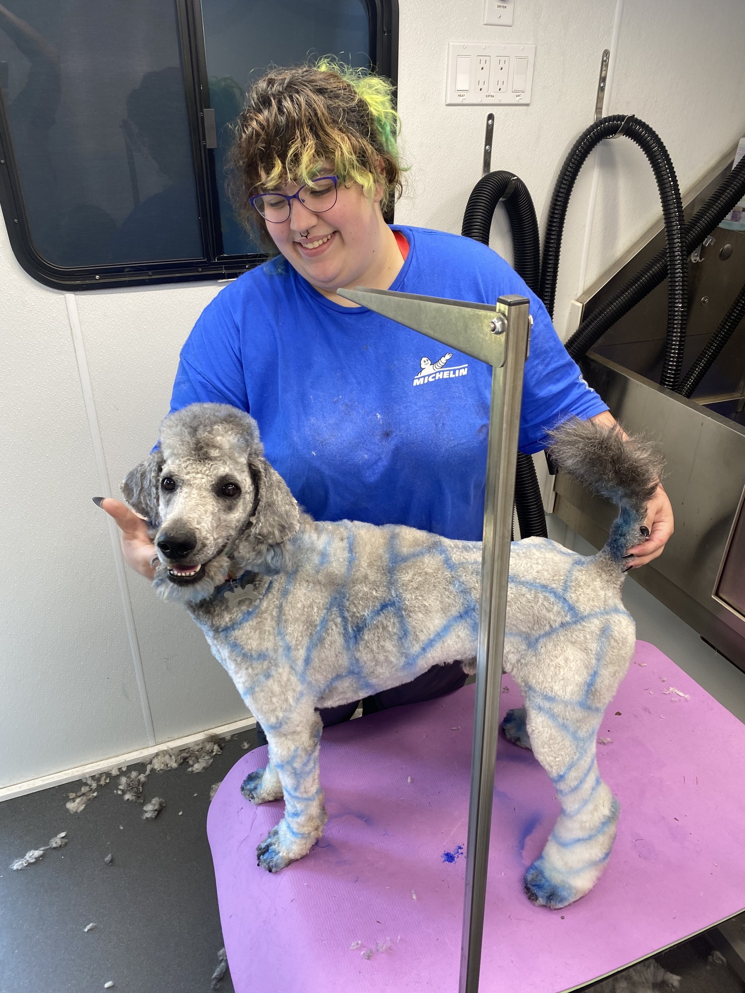 Pet Groomer Lexington County Zoomin Groomin South Carolina