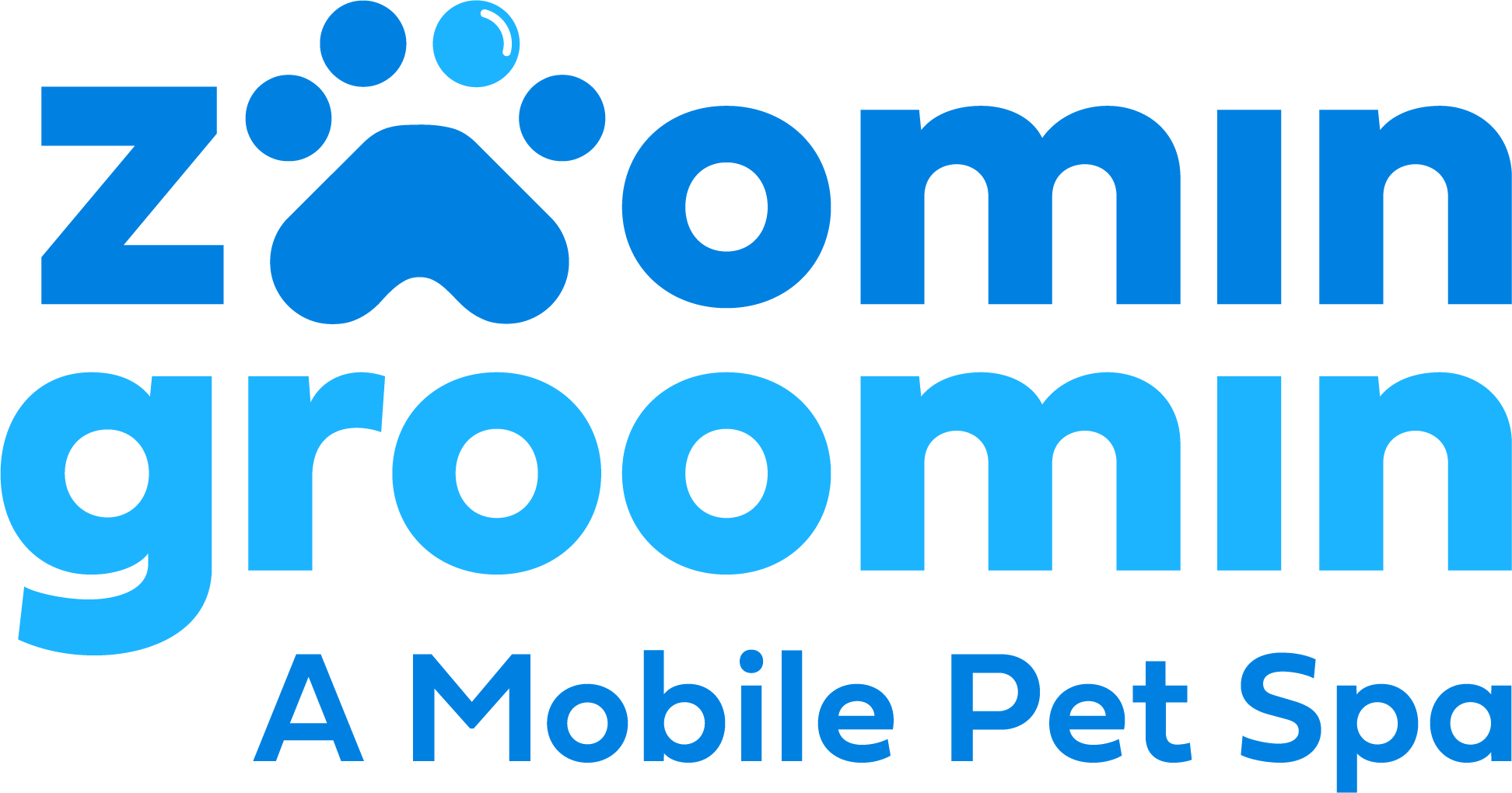Teaching Your Dog To Love Winter Gear Zoomin Groomin