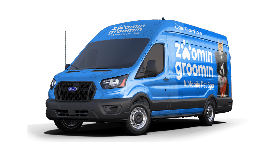 New Van 2
