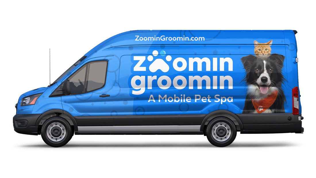 Van 3 zoomin groomin mobile pet groomer van