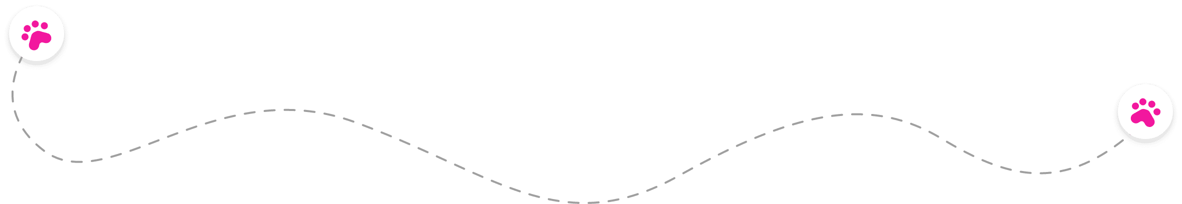 step-by-step grooming session