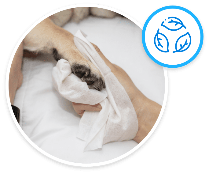 Eco-Friendly Products