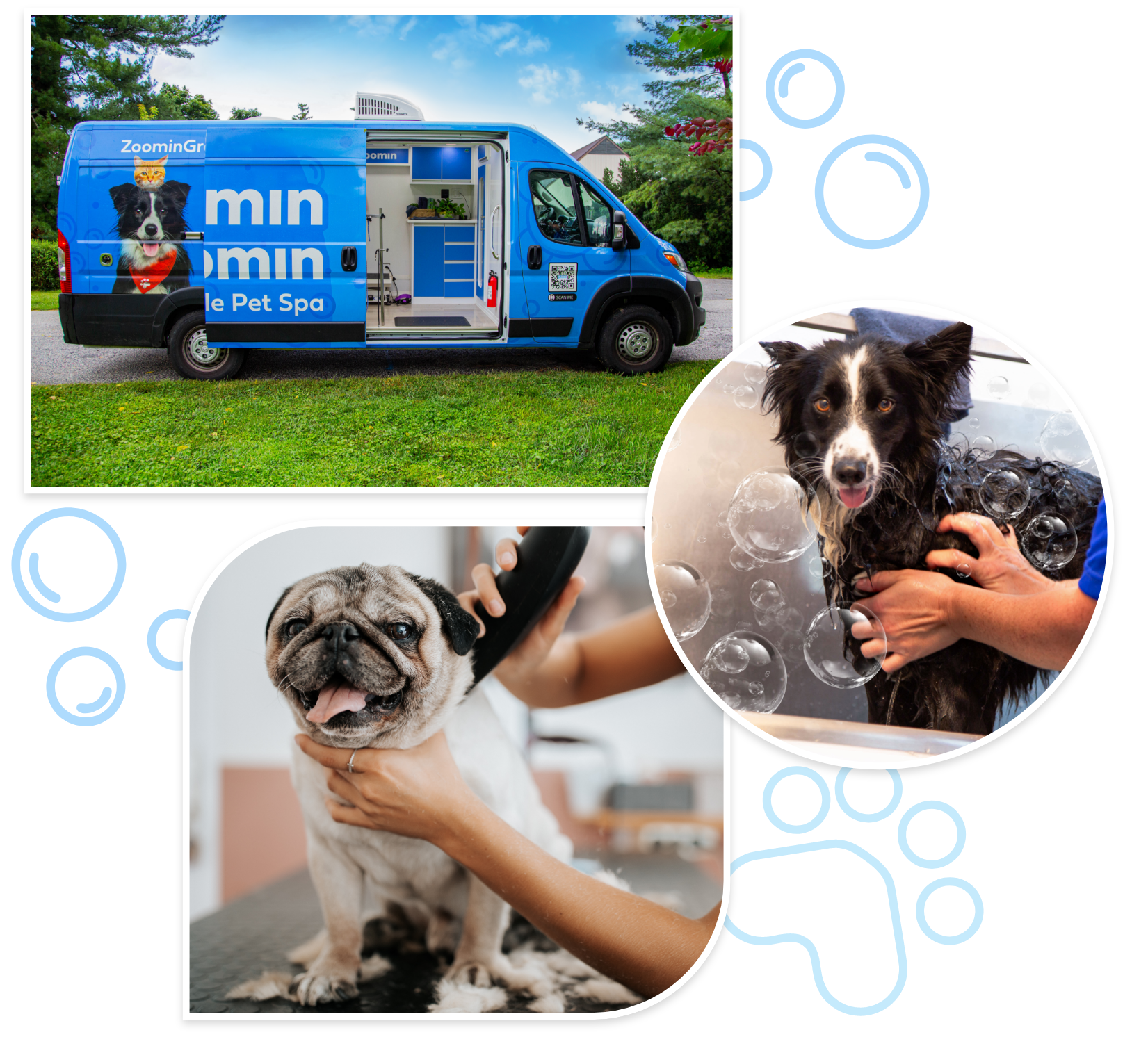 Mobile Dog Salon