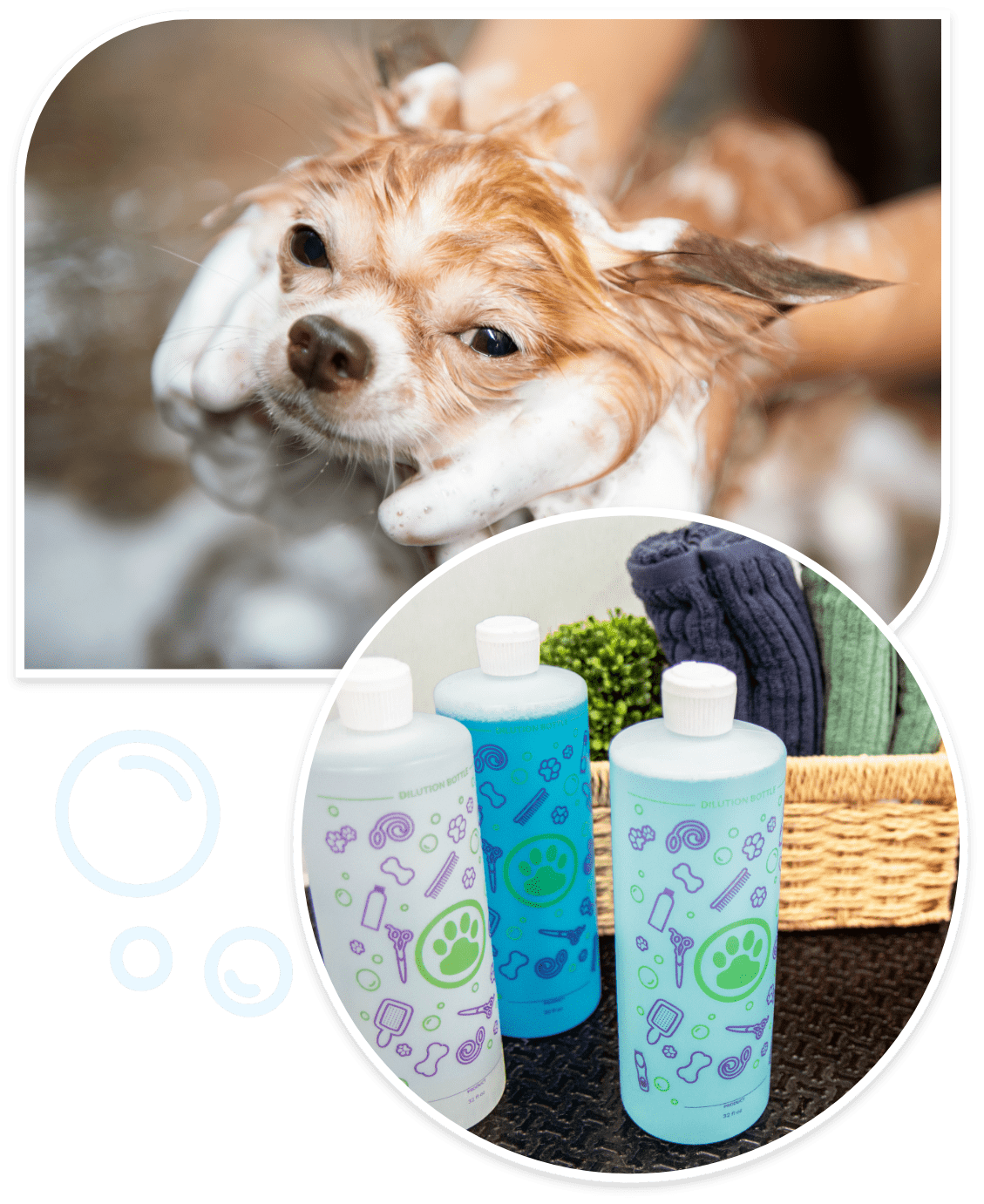 dog wash mobile near me