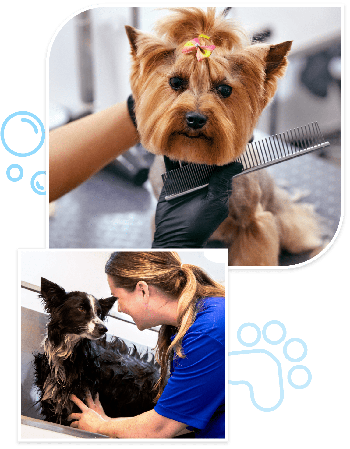mobile canine groomer Smithtown