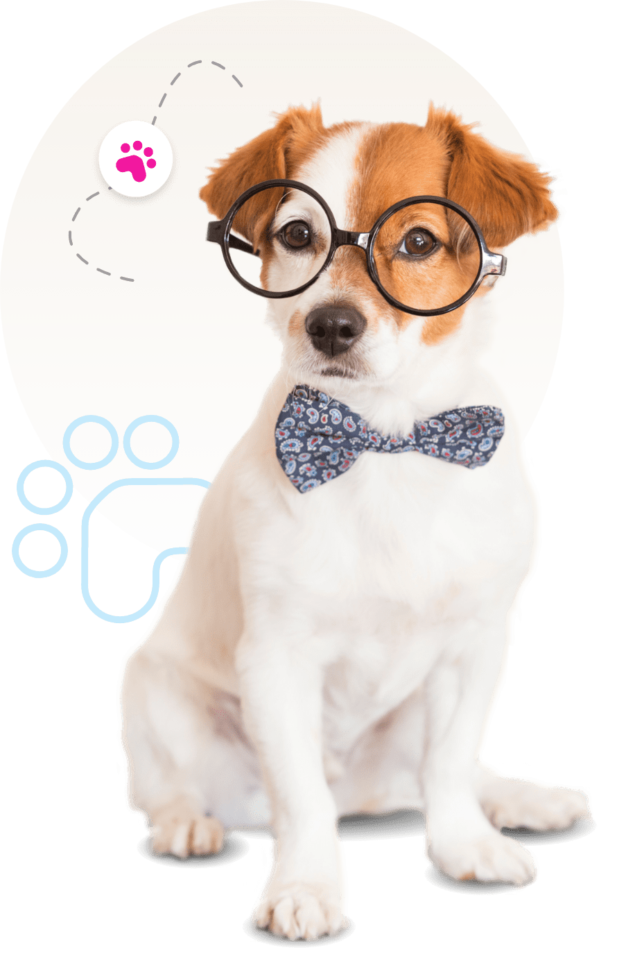 question and answers