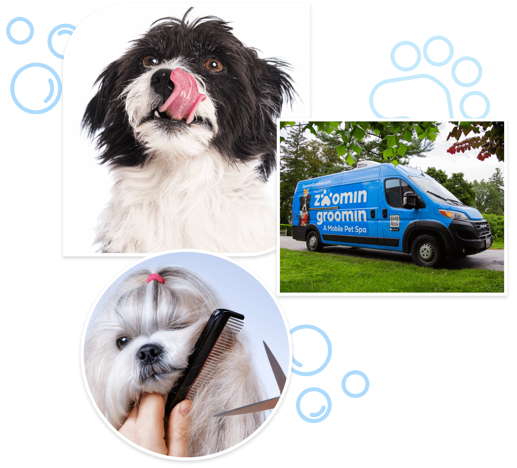 dog groomer mobile near me