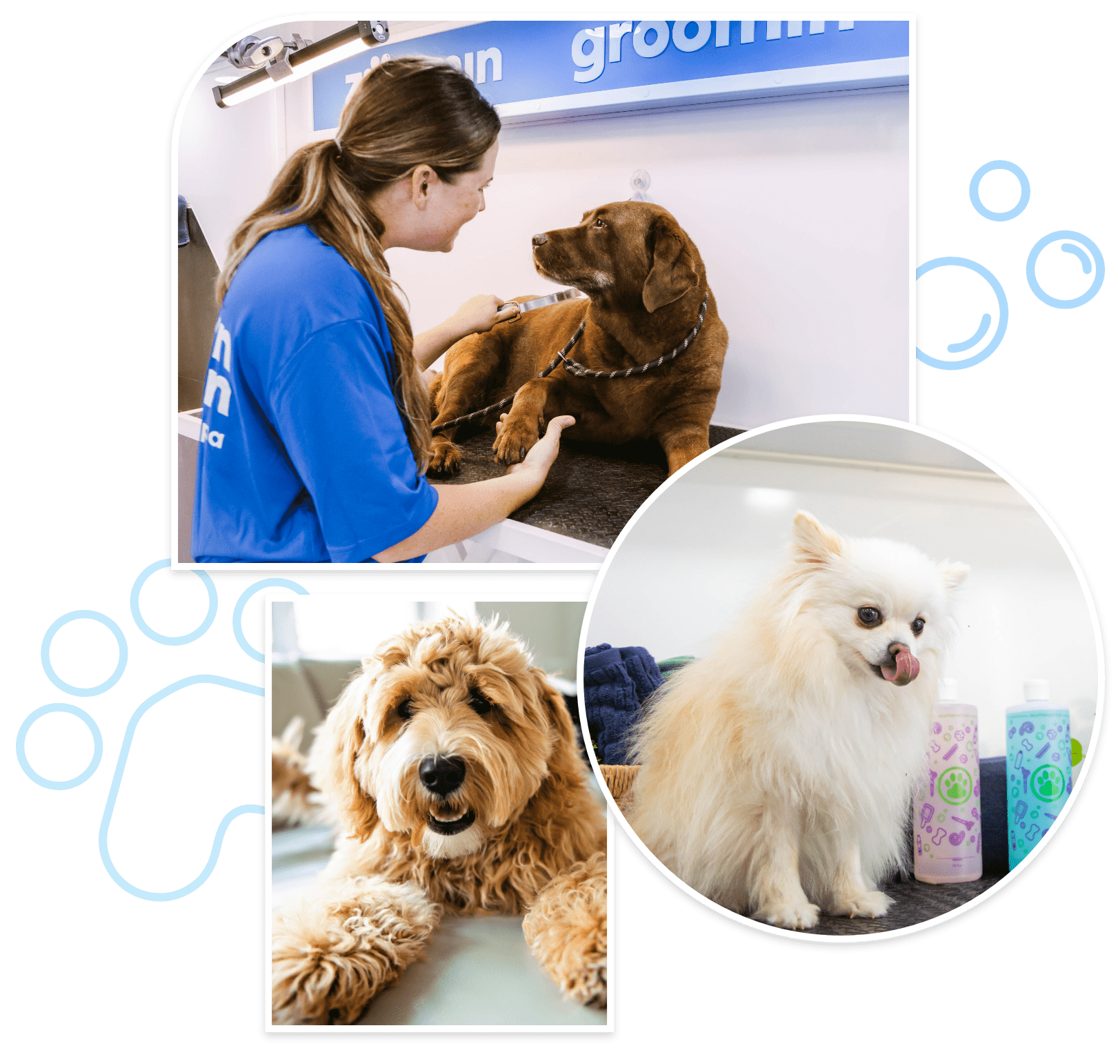 top groomer