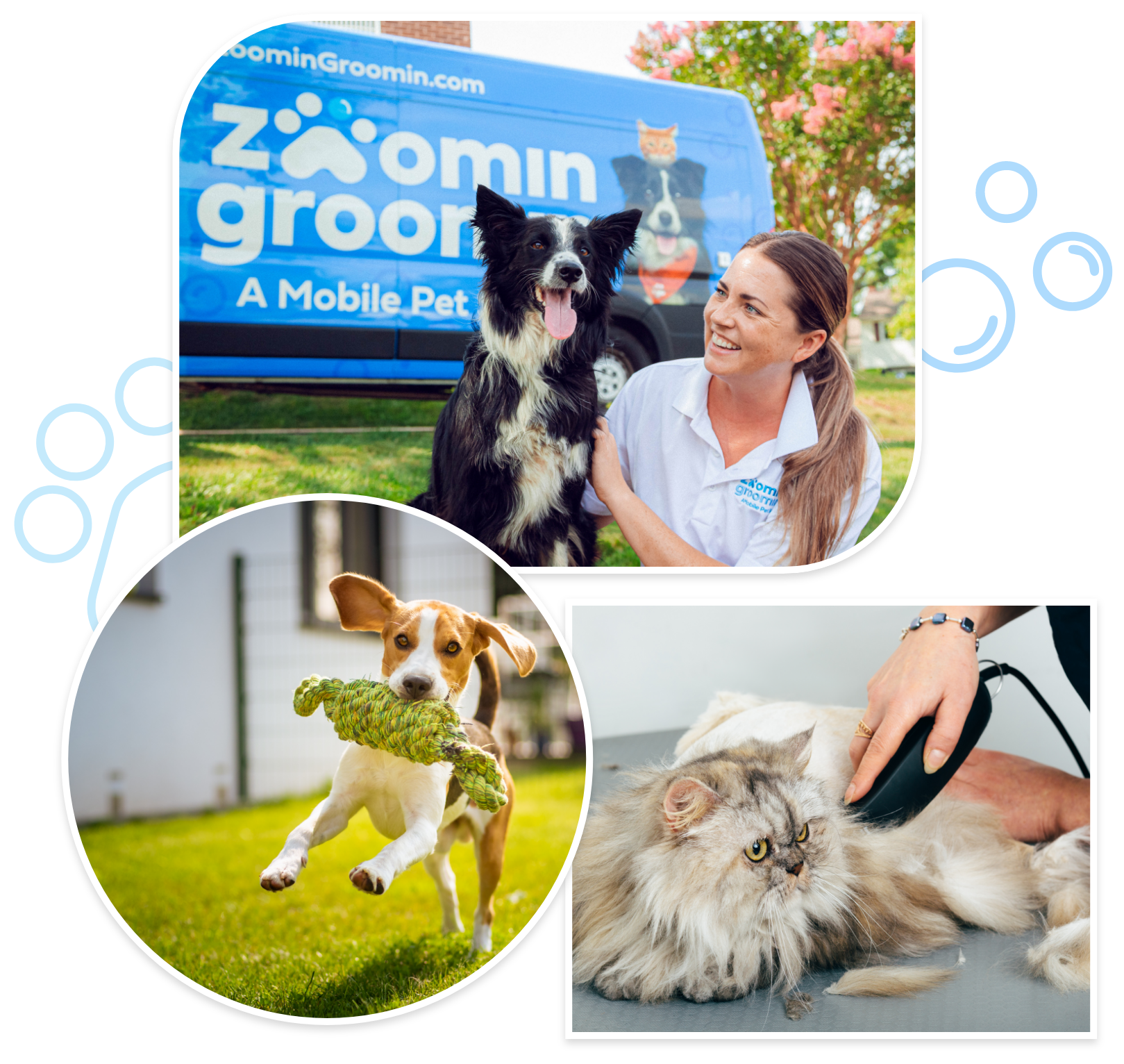 Maryland dog groomers