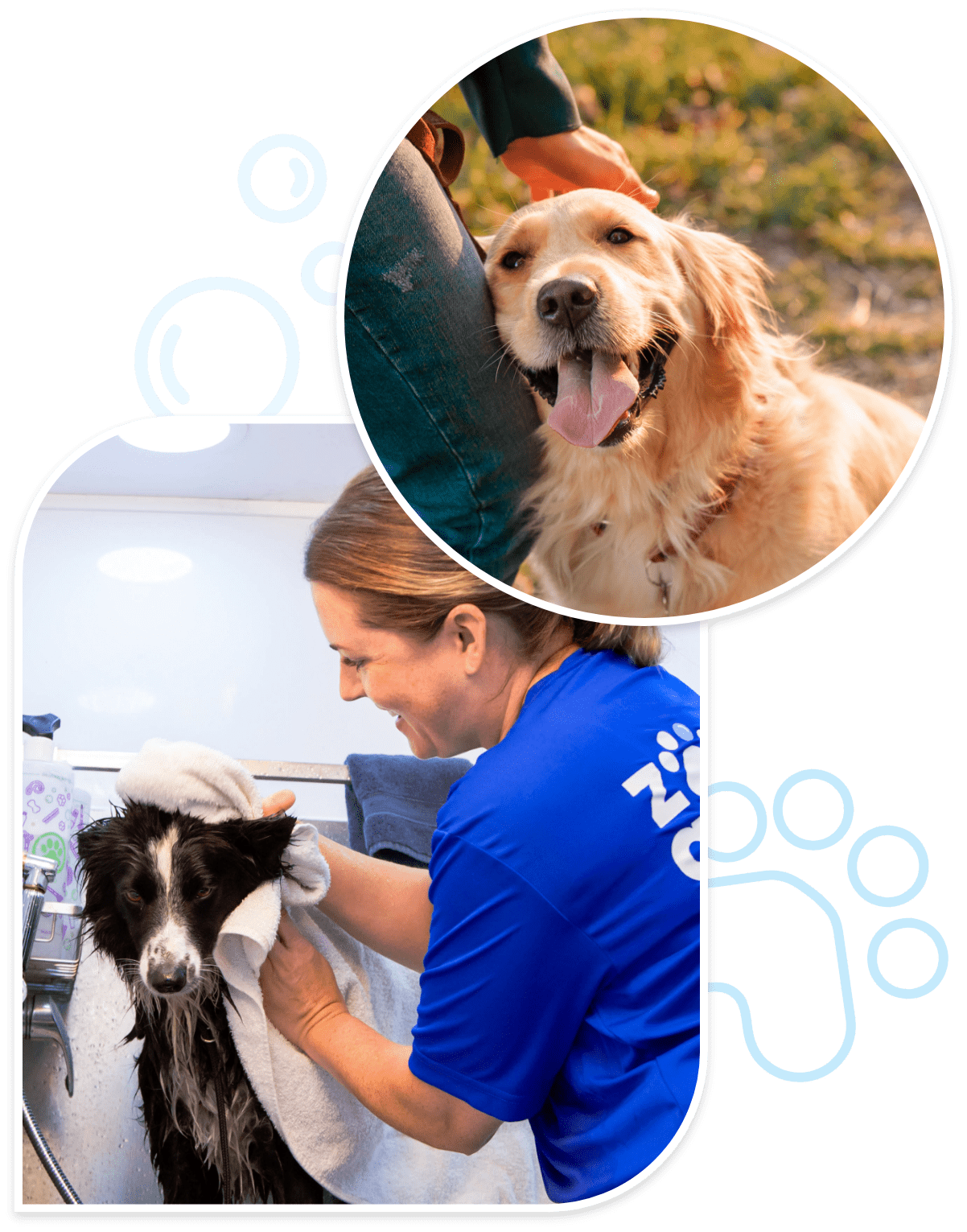 top groomers near me