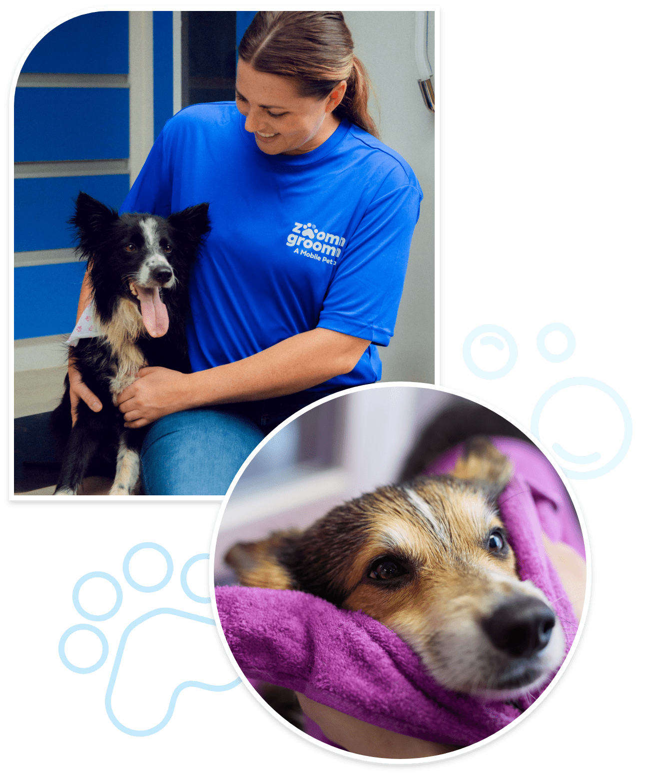 top groomers near me