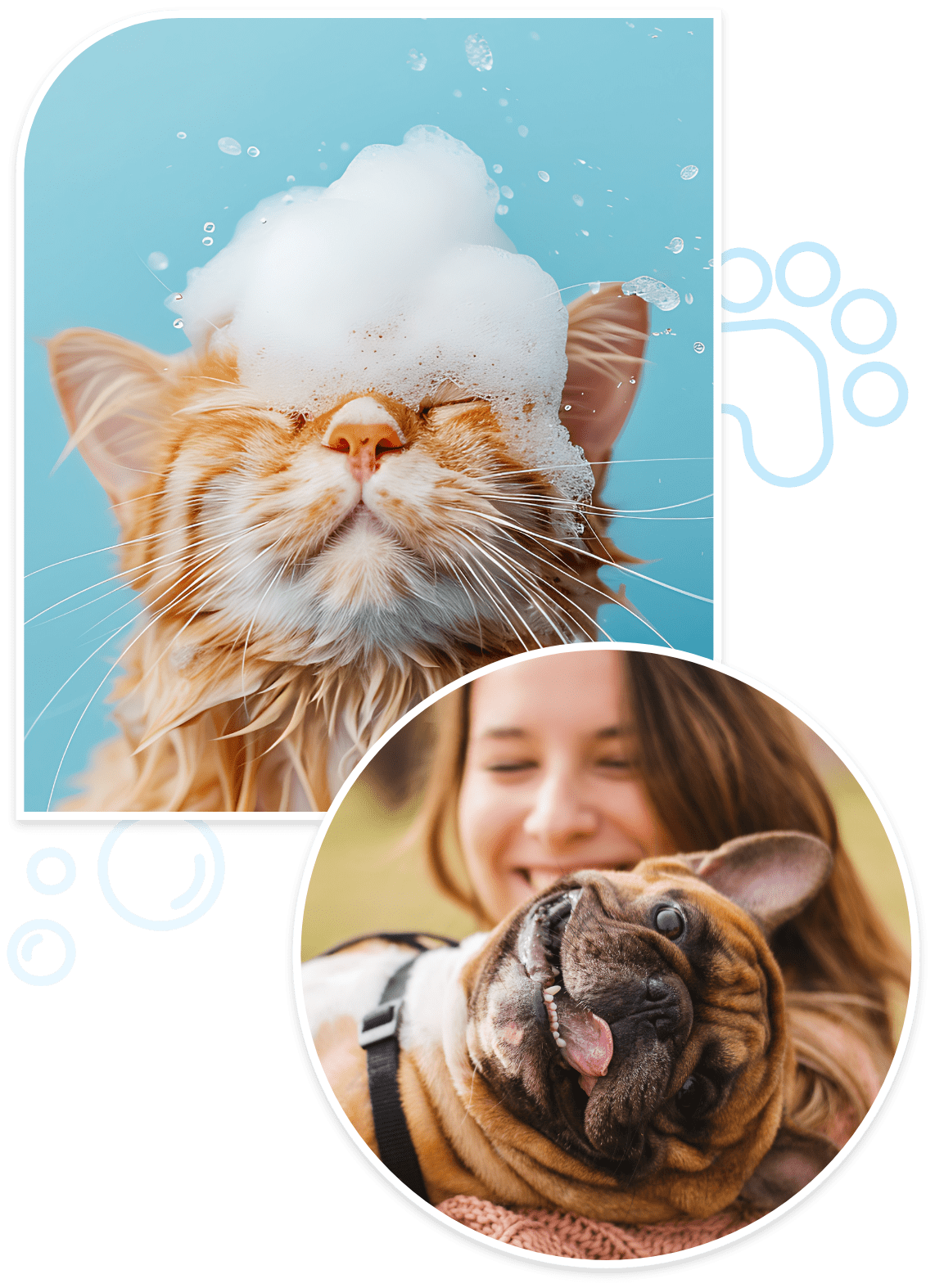 dog clipping near me smithtown