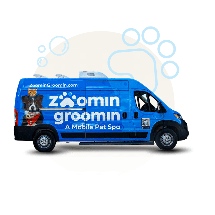dog groomer van smithtown
