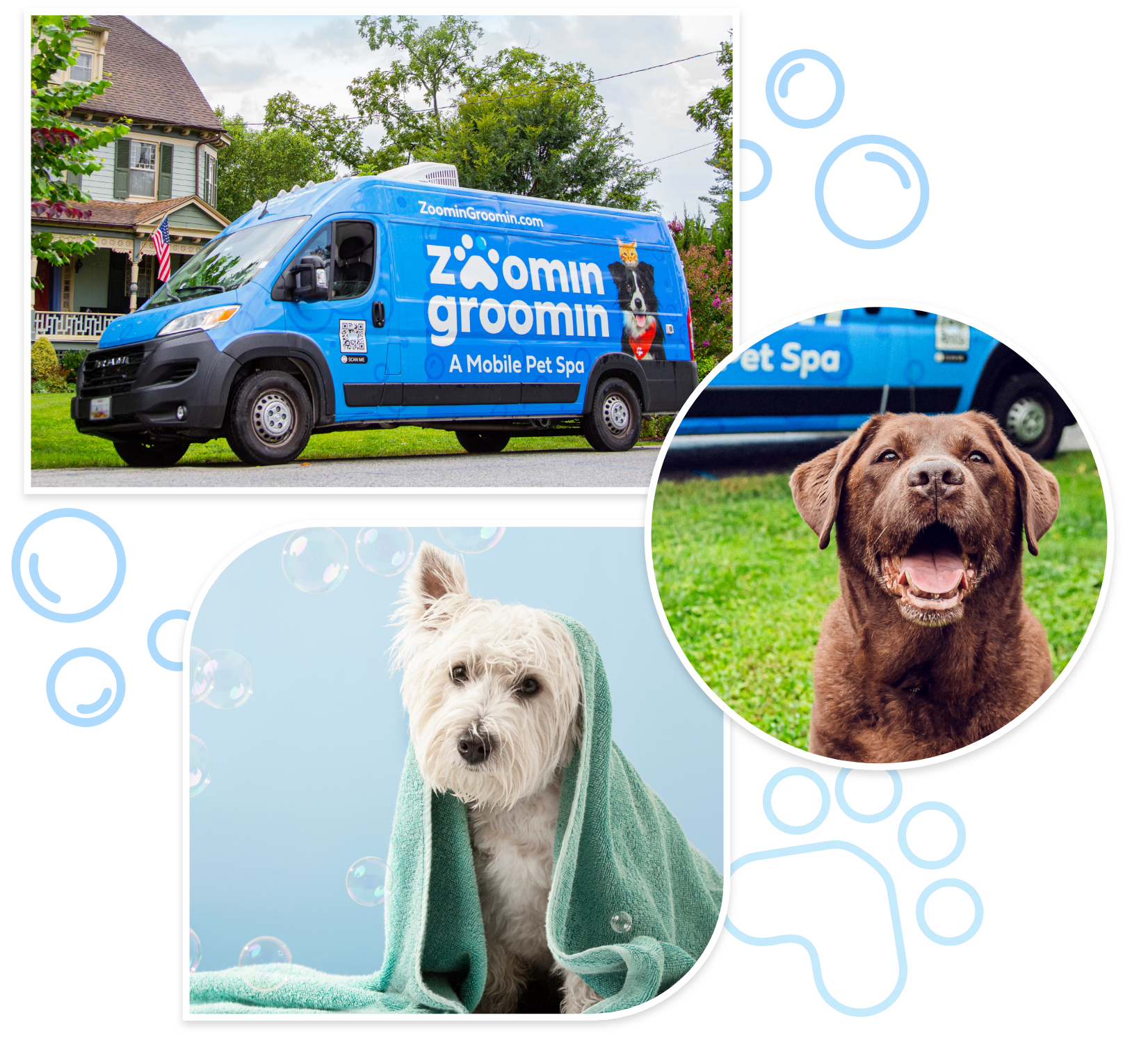 dog grooming van