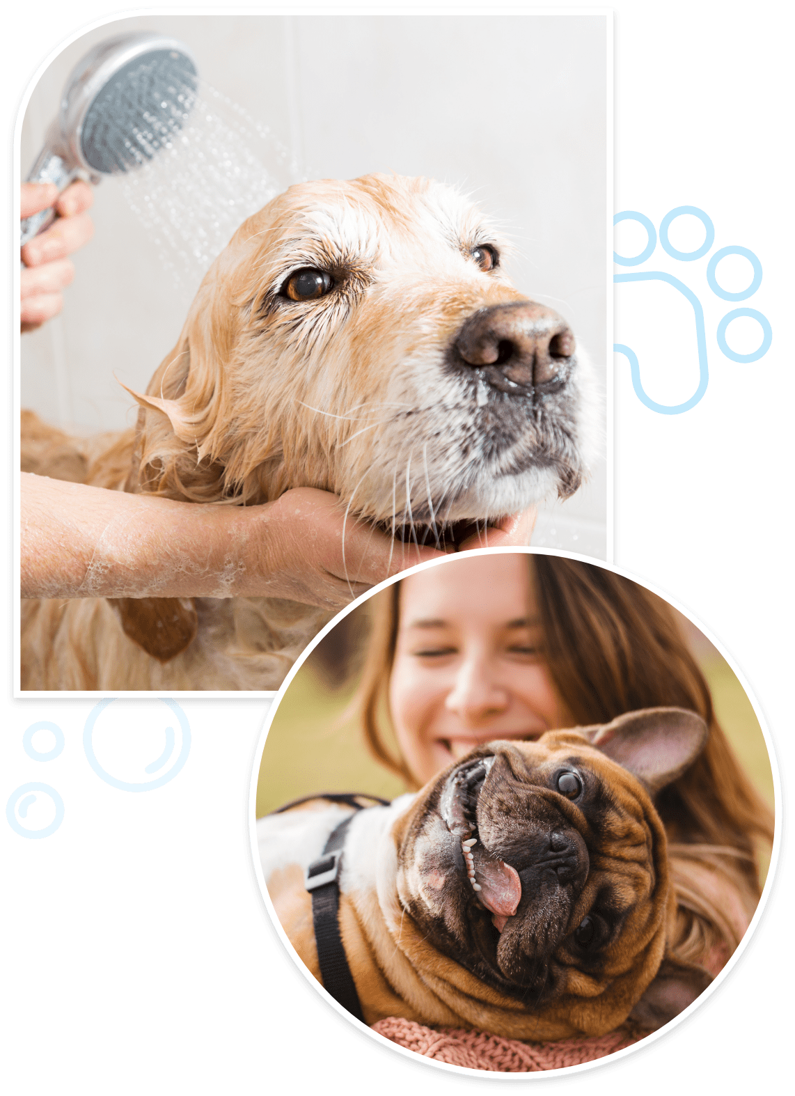 north-central-san-antonio